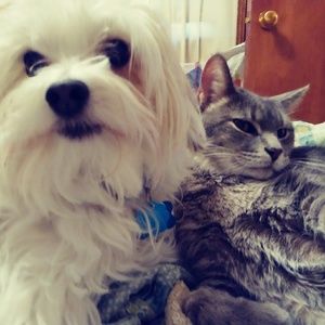 Meet your Posher, Gretchen lee